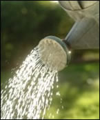 Moving Tip: Water Plants before you Move